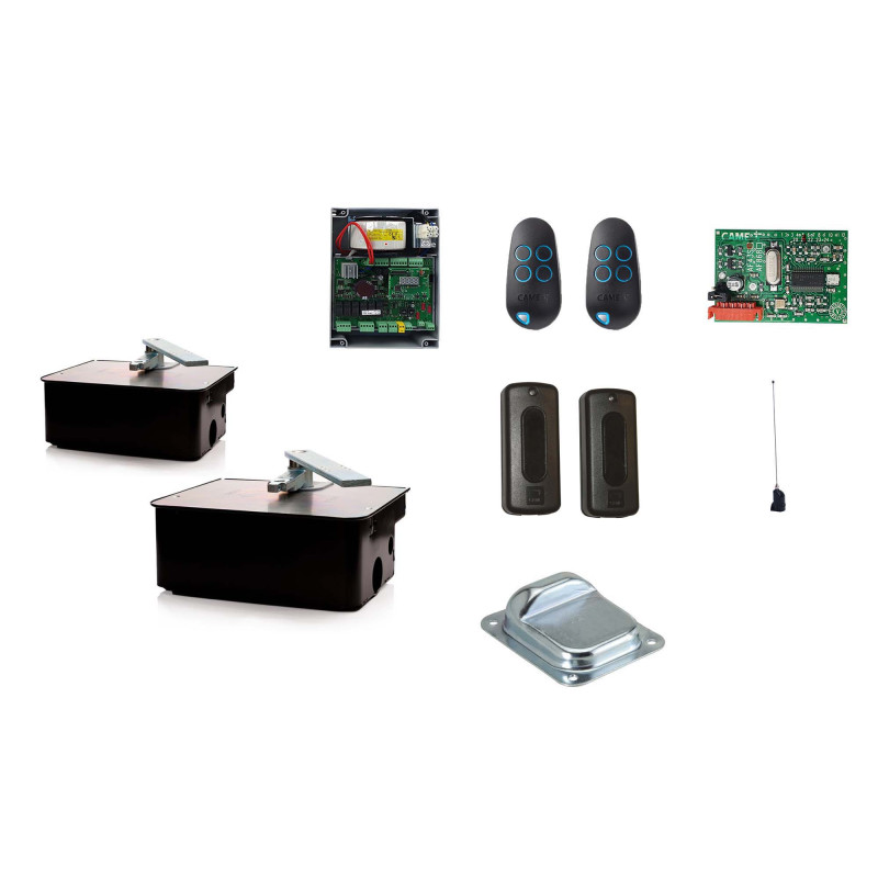 CAME FROG A24E/2 Underground 24V motor - Kit M