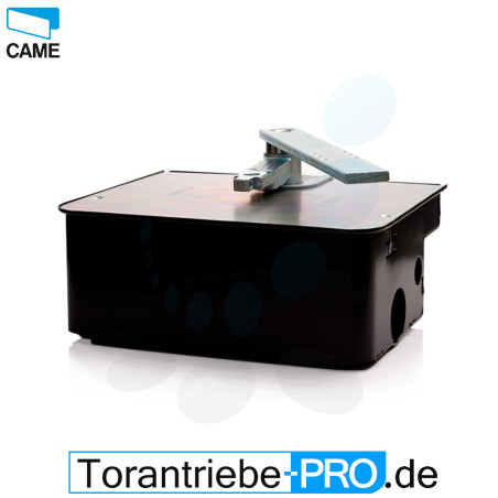 CAME FROG A24E Underground 24V motor with caising