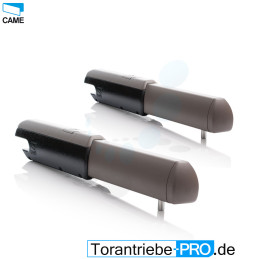CAME ATI A5024N Swing gate motor 24V