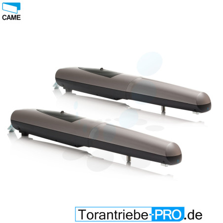 CAME AXO AX5024 Swing gate motor 24V