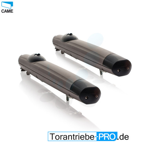 CAME AMICO Swing Gate Motor 24V