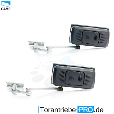 CAME FERNI 1000 Swing Gate Motor 230V