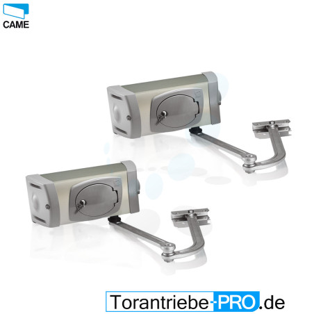 CAME FERNI 40230 Swing Gate Motor 230V
