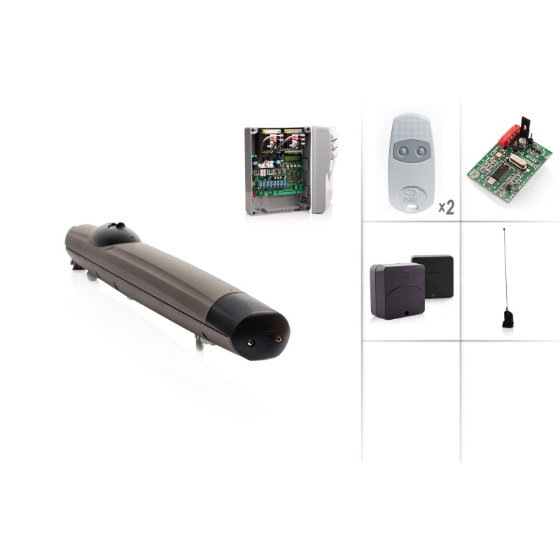 CAME AMICO/1 Swing Gate Motor 24V - Kit M