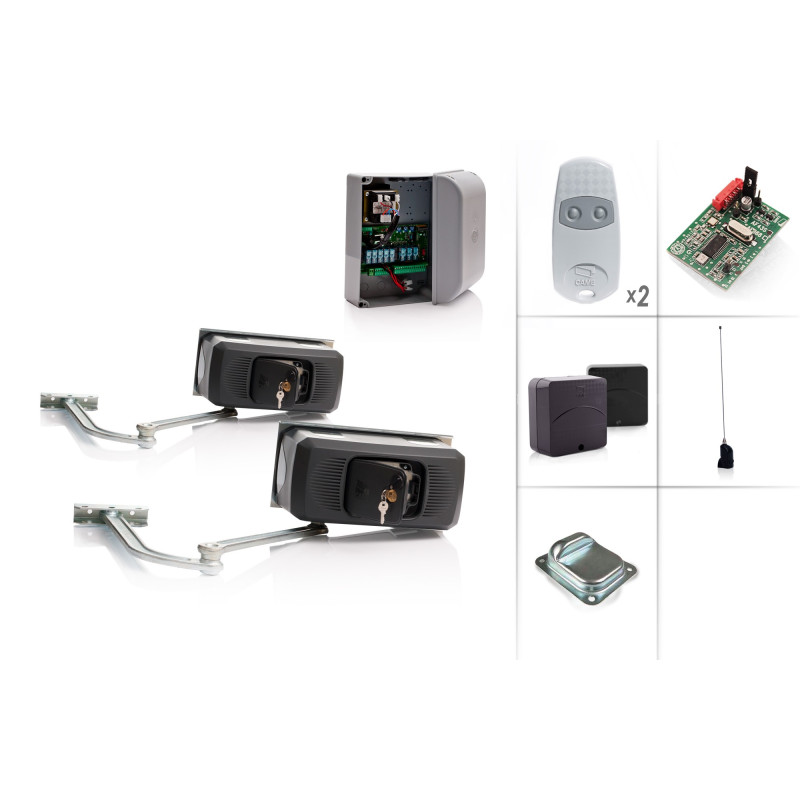 CAME FERNI 1000/2 Swing Gate Motor 230V - Kit M