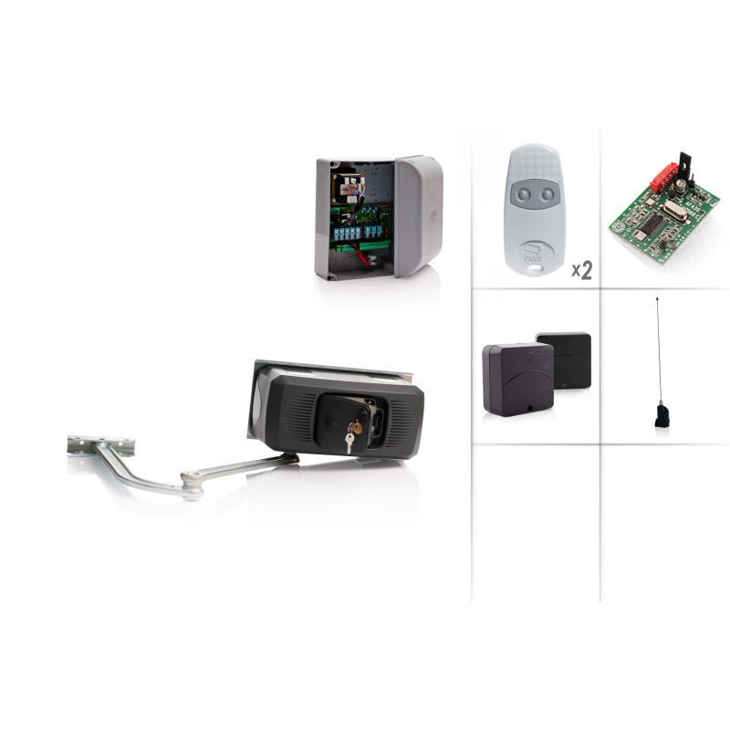 CAME FERNI 1024/1 Swing Gate Motor 24V - Kit M