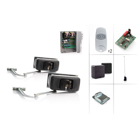 CAME FERNI 1024/2 Swing Gate Motor 24V - Kit M