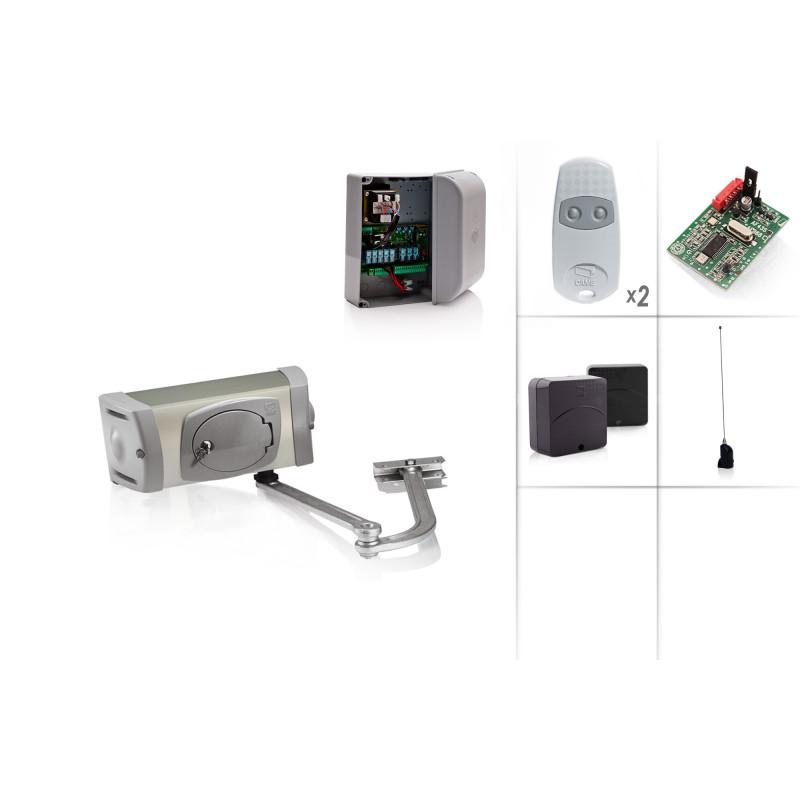 CAME FERNI 4024/1 Swing Gate Motor 24V - Kit M