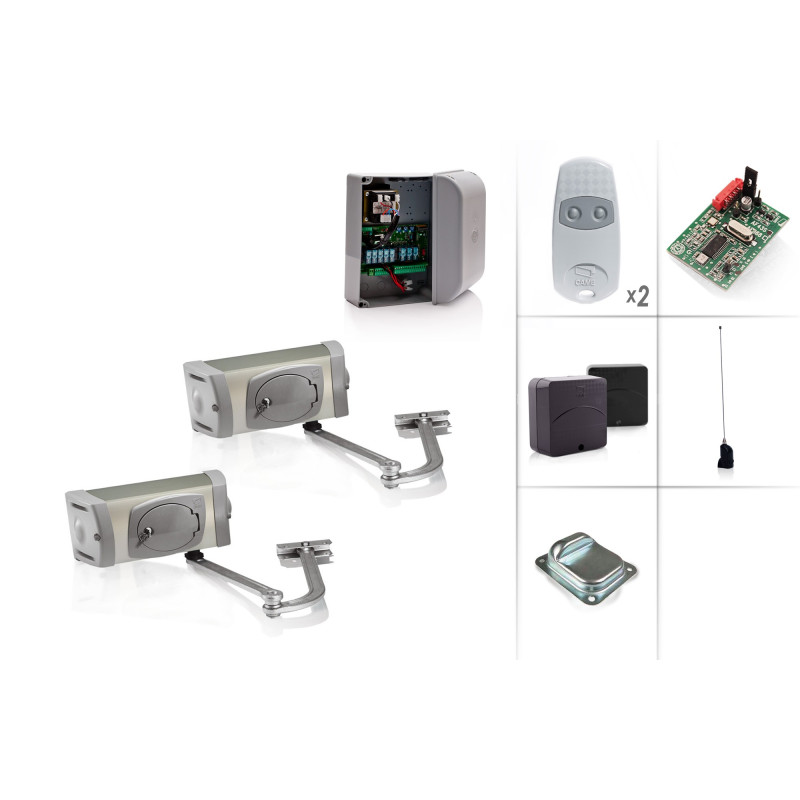 CAME FERNI 4024/2 Swing Gate Motor 24V - Kit M