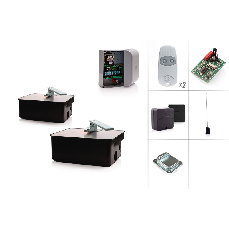 CAME FROG AV/2 Underground motor - Kit M