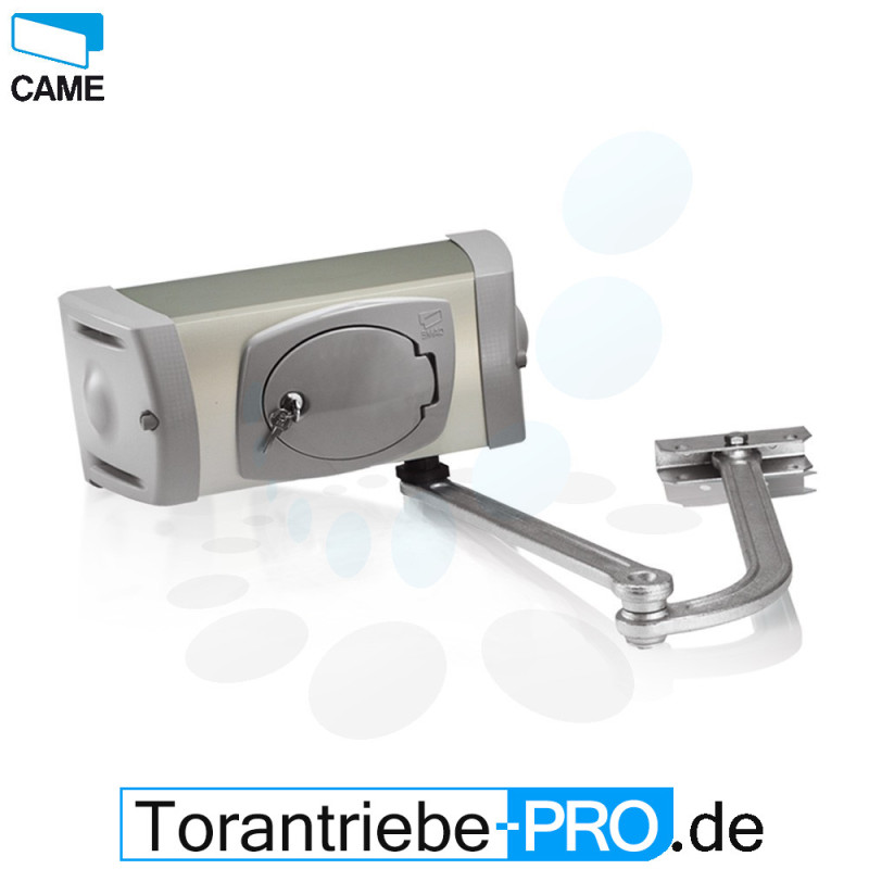 CAME FERNI 4024 Swing Gate Motor 24V